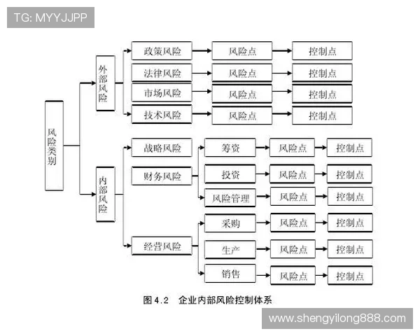 杭州排球队的战术创新与控制体系解析探讨